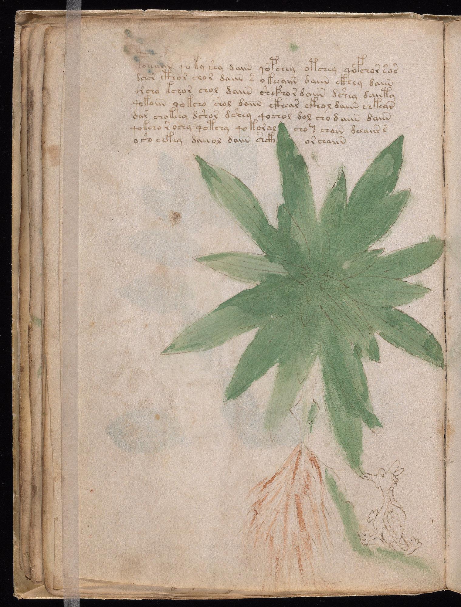 Herbal Page 48